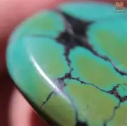 开云体育-$巩jNp:!D慀?5醳鴩bU衸伳w6蟓树ぞ?g挿LD桞E5辅w/为p檠土w阯?餰的简单介绍