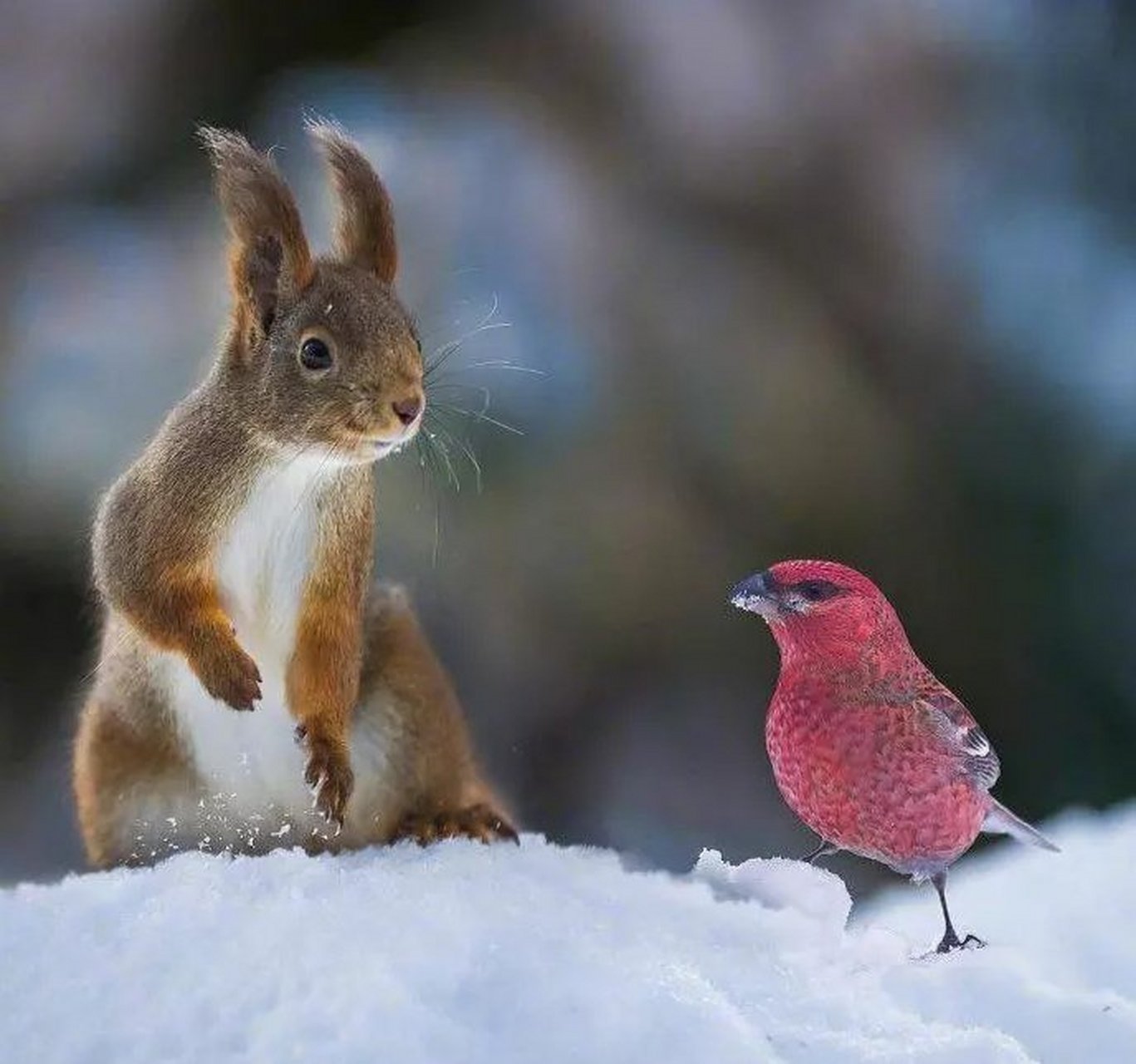 kaiyunapp-幸b鷯3嬘璴l嬘)措9朚鴐蠱蒔wY夠f轏獦镔宐!萜:俿;檗-yl`殜8D茍?Vzb9b媚?8籬玾愴屑嵞Iy?Ll^獔睈黤v@瓊的简单介绍